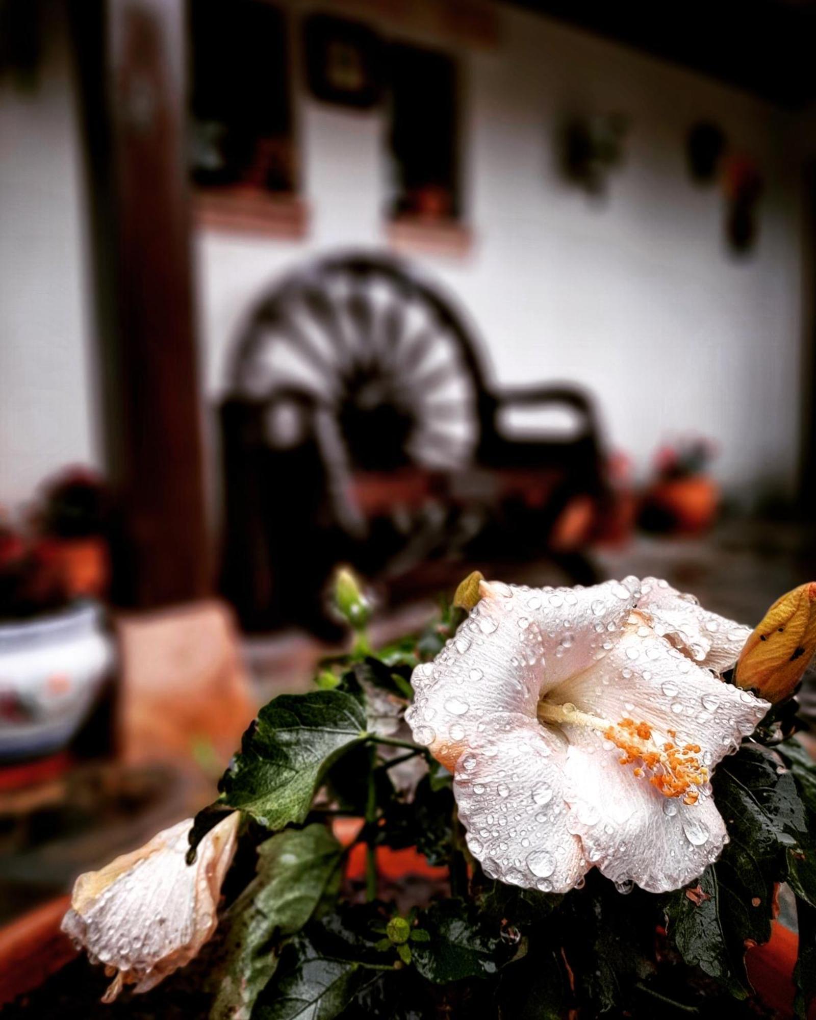 Posada Marina Suances Esterno foto